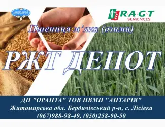 Зображення для оголошення Насіння озимої пшениці РЖТ ДЕПОТ (СН