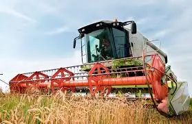 Зображення для оголошення Куплю Пшеницю по всій Україні