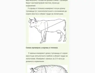 Зображення для оголошення Куплю говядину