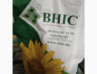 Зображення для оголошення Продам насіння соняшнику Шенон
