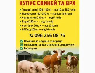 Зображення для оголошення Куплю свині