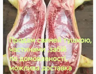 Зображення для оголошення Продам домашню свиннину