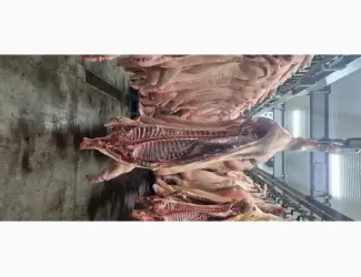 Зображення для оголошення Маєм на продаж напівтушу свинну