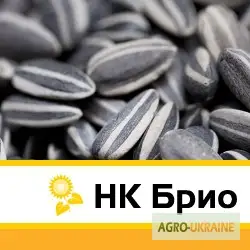 Зображення для оголошення Семена подсолнечника "НК Брио"