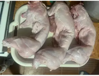 Зображення для оголошення Домашня мʼясо кролика