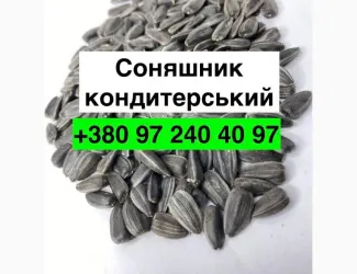 Зображення для оголошення Продам насіння Соняшника кондитерського