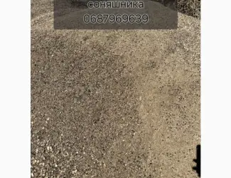 Зображення для оголошення Купимо відходи соняшника