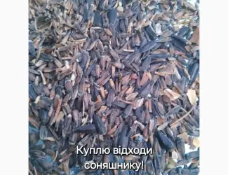 Зображення для оголошення Купим відходи соняшника ділові
