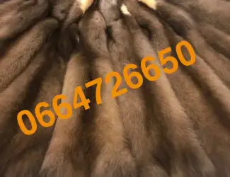 Зображення для оголошення Продам куницю вичинену тисячі штук лісова та камʼянка