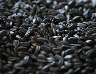 Зображення для оголошення Продам соняшник 100 т