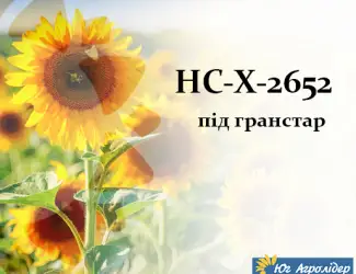 Зображення для оголошення Насіння соняшника НС-Х 2652