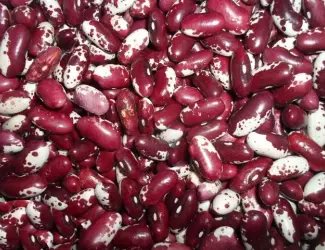 Зображення для оголошення Продаж квасолі оптом в Україні