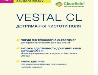 Зображення для оголошення Насіння озимого ріпаку VESTAL CL (ВЕСТАЛ КЛ)