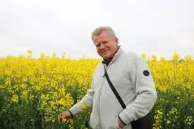 Зображення для оголошення Куплю Ріпак НЕ ГМО-по всій Україні