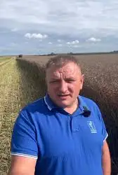 Зображення для оголошення Агрокомпанія закупить Ріпак без ГМО та ГМО по Україні 1Ф