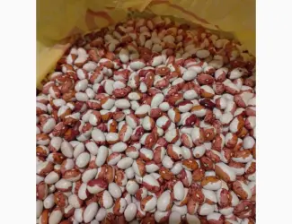 Зображення для оголошення Куплю квасолю