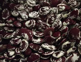 Зображення для оголошення Продам квасолю Лімська