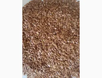 Зображення для оголошення ЛЬОН (Flaxseed)