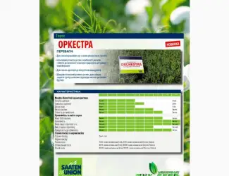 Зображення для оголошення Насіння Горох Жовтий
