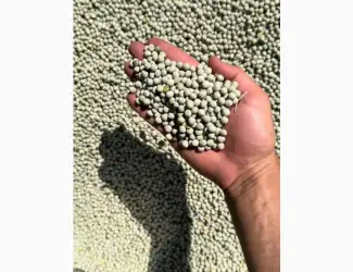 Зображення для оголошення Продам горох зелений