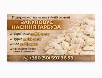 Зображення для оголошення Насіння гарбуза