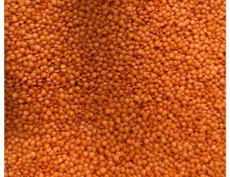 Зображення для оголошення Продам сочевицю червону