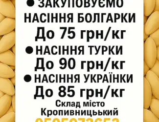 Зображення для оголошення Закупівля гарбузового насіння