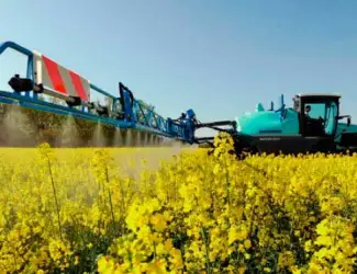 Зображення для оголошення Закуповуємо Ріпак Сою за конкурентними цінами
