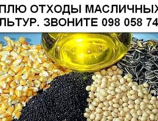 Зображення для оголошення Дорого! Купляємо по всій Україні самовивозом мертві відходи соняшника