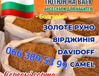 Зображення для оголошення Кентукі