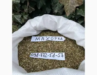 Зображення для оголошення Махорка нового сезону 2025 не гірчить
