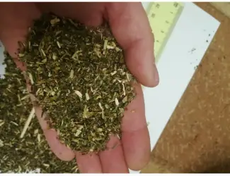 Зображення для оголошення Продаю домашний табак Махорка и Вирджиния