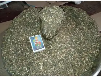 Зображення для оголошення Нада Табак домашній тому сюда ! Самосад наш сільський дідовий