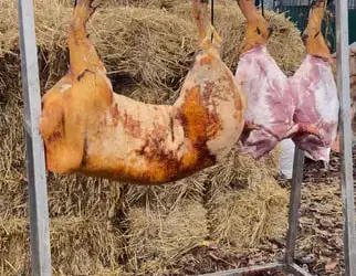 Зображення для оголошення Домашня свинина, туші, ковбаси, сало опт/роздріб