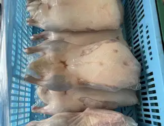 Зображення для оголошення Утка Пекин тушка