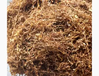 Зображення для оголошення Тютюн продам
