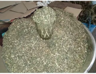 Зображення для оголошення Домашні табаки не без палок і мусору Махорка Берлі Дюбек Вірджінія