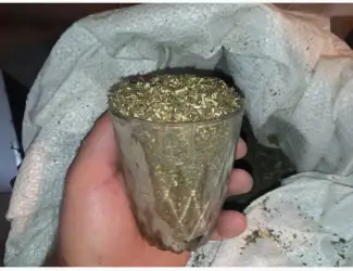 Зображення для оголошення Махорка така як треба