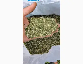 Зображення для оголошення Продам махорку