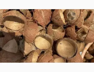 Зображення для оголошення Куплю кокосову шкаралупу