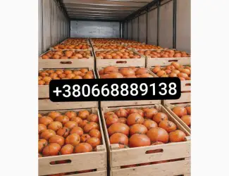 Зображення для оголошення Продажа апельсинов и грейпфрутов оптом»