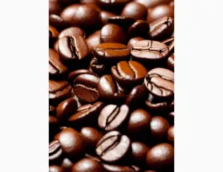 Зображення для оголошення Кофе LAVAZZA Gusto Forte в зернах