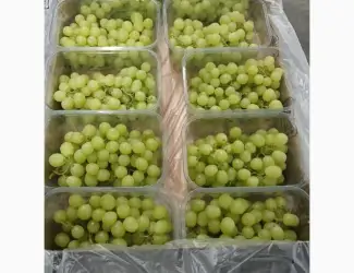 Зображення для оголошення Продам виноград із Египту