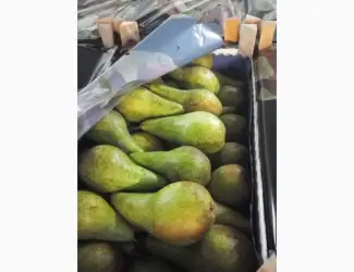 Зображення для оголошення Продам грушу в Польше