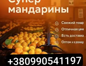 Зображення для оголошення Продам мадарин оптом