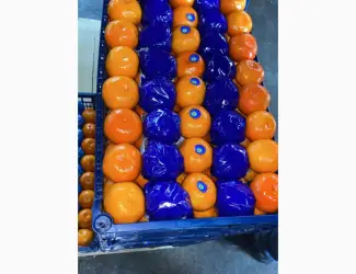 Зображення для оголошення Мандарин Туреччина