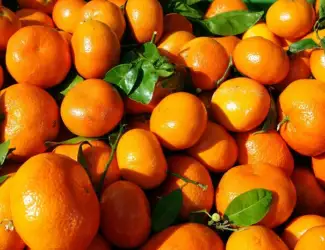 Зображення для оголошення Купуємо мандарини оптом! Київ та область