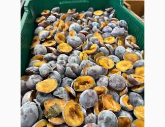 Зображення для оголошення Продам Сливку