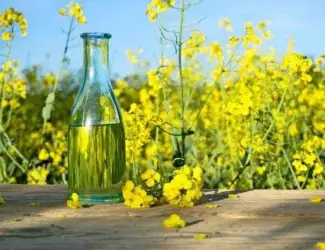 Зображення для оголошення Купуємо олію ріпакову нерафіновону (самовивіз)