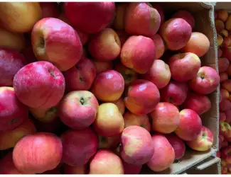 Зображення для оголошення Продам яблука